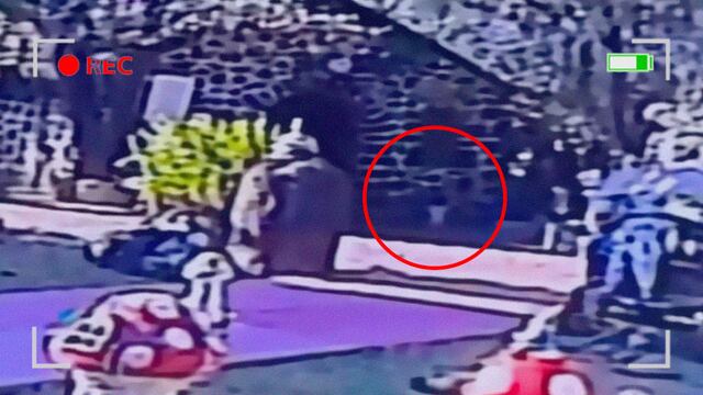 La prueba de que los duendes existen quedó grabada en un video de TikTok