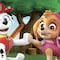 Paw Patrol en fieltro: Plantillas para armar a Marshall, Skye, Rocky y Rubble