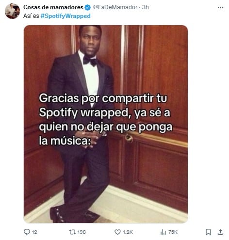 Memes del Spotify Wrapped 2024