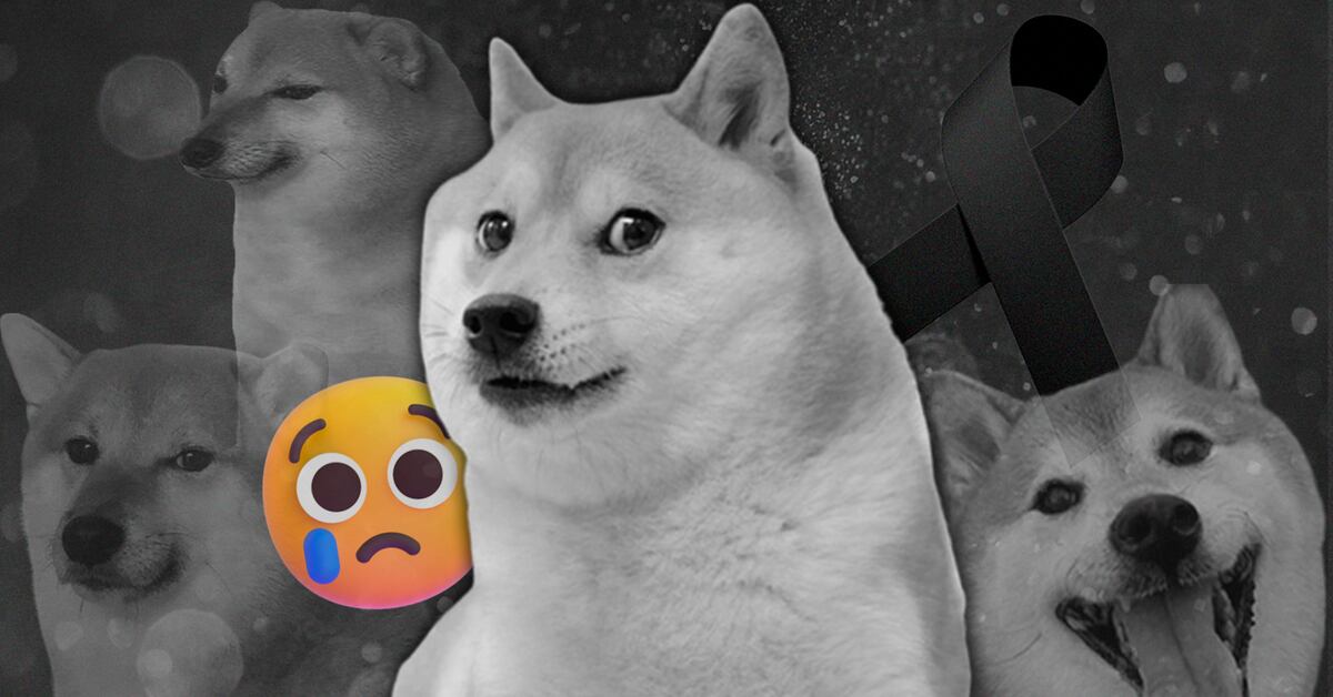 Muere Cheems, el perrito que hizo viral un meme, a causa del cáncer