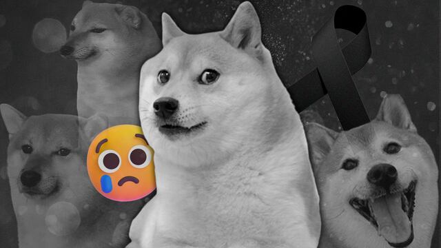 Balltze, el perrito Cheems de los memes, murió el 18 de agosto de 2023