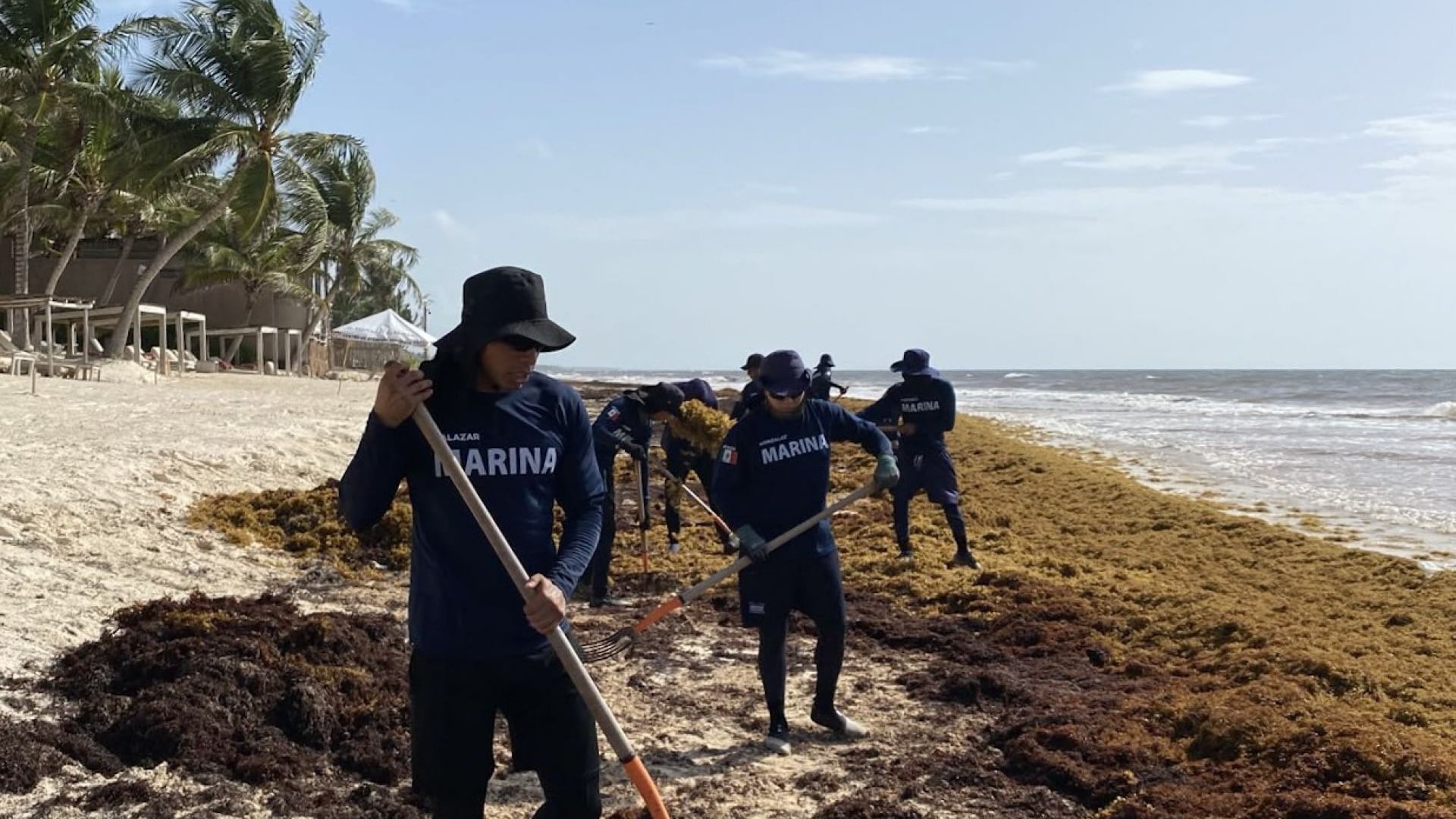 Sobre lo que leí referente a Tulum