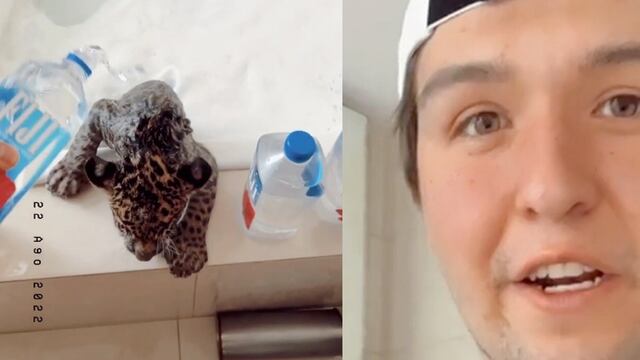 Fofo Márquez presume que baña a su leopardo con agua Fiji