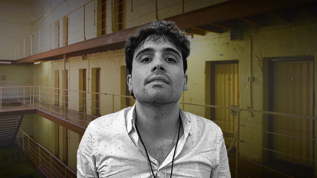 Ovidio Guzmán