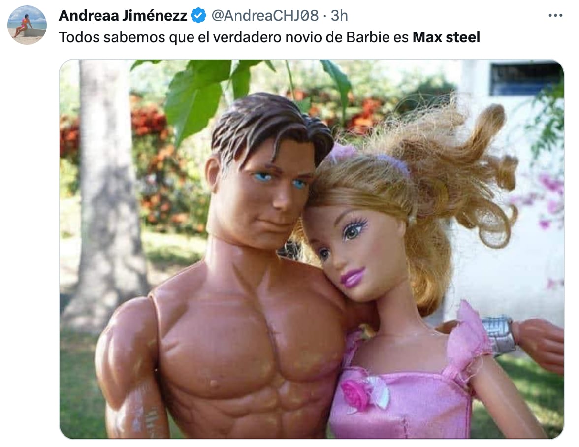 Barbie y Max Steel