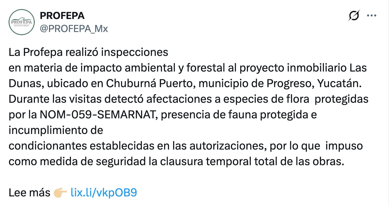 Profepa frena proyecto Las Dunas en Yucatán por afectaciones a especies protegidas
