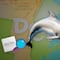 Profepa busca reubicar a nueve delfines de Dolphin Discovery en Cancún