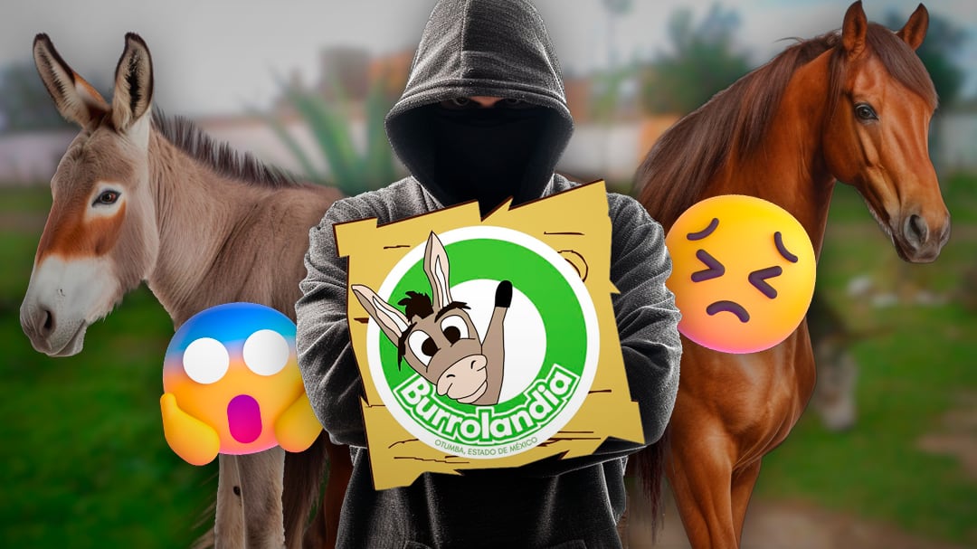 ¿Qué pasó en Burrolandia? Julieta y Felipe siguen desaparecidos; en este municipio encontraron a los demás