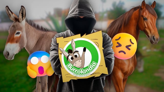 Burrolandia México denuncia el robo de burritos y caballos de sus instalaciones