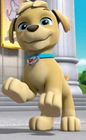 Fondo de pantalla de Tuck de Paw Patrol