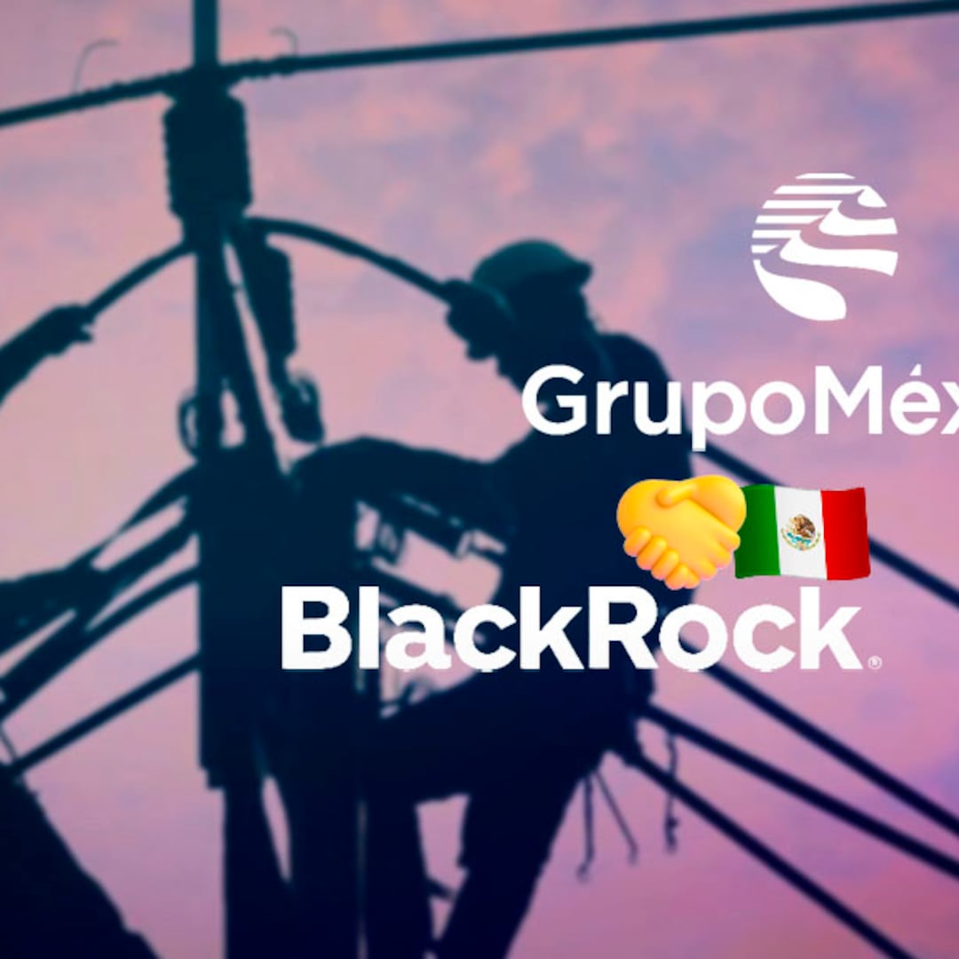 BlackRock se asocia con Grupo México de Germán Larrea para operar 14 plantas energéticas