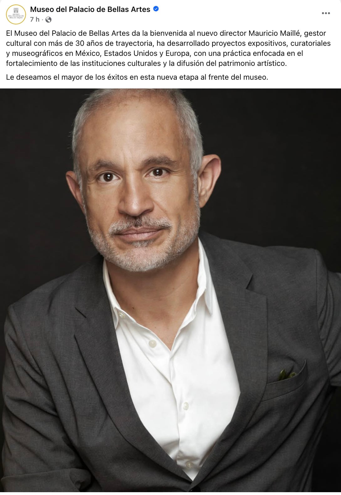 Mauricio Maillé, como nuevo director del Museo del Palacio de Bellas Artes