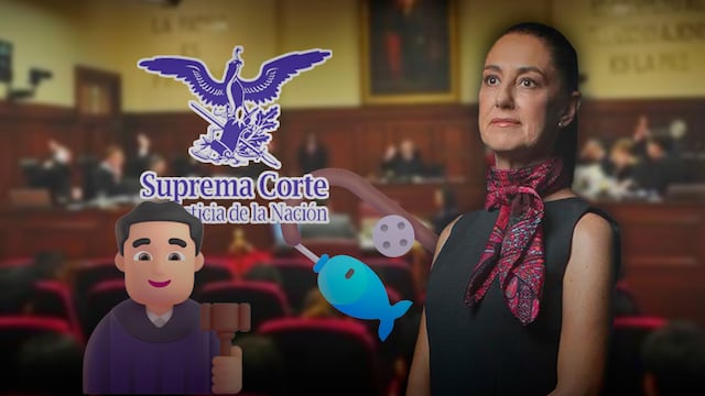 SCJN pide a Sheinbaum destrabar ley de pesca sostenible pendiente desde Calderón
