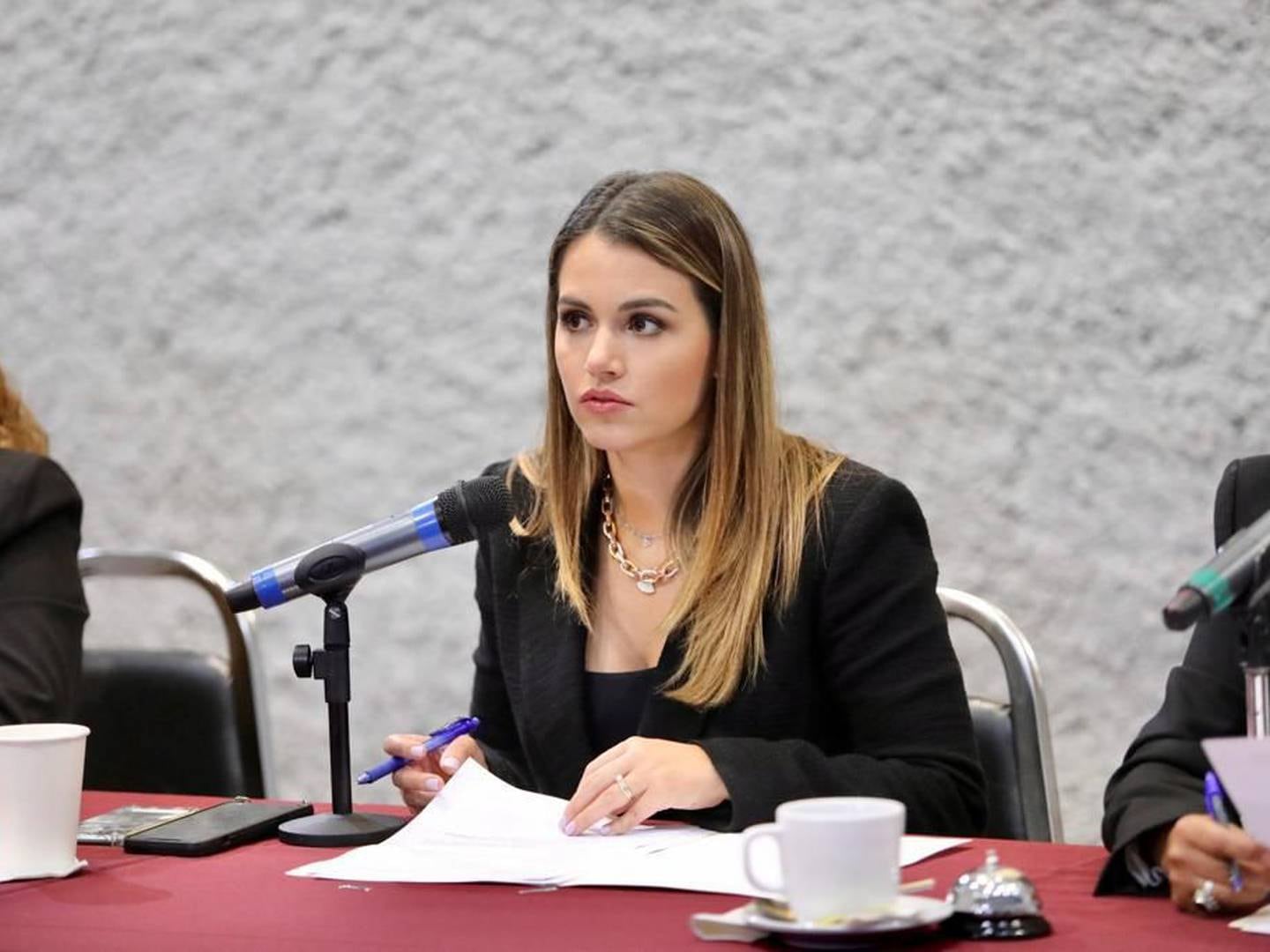 Lorena de la Garza, diputada opositora del PRI del gobierno de Samuel García