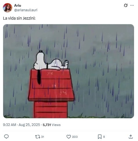 Memes por la desaparición de Jezzini