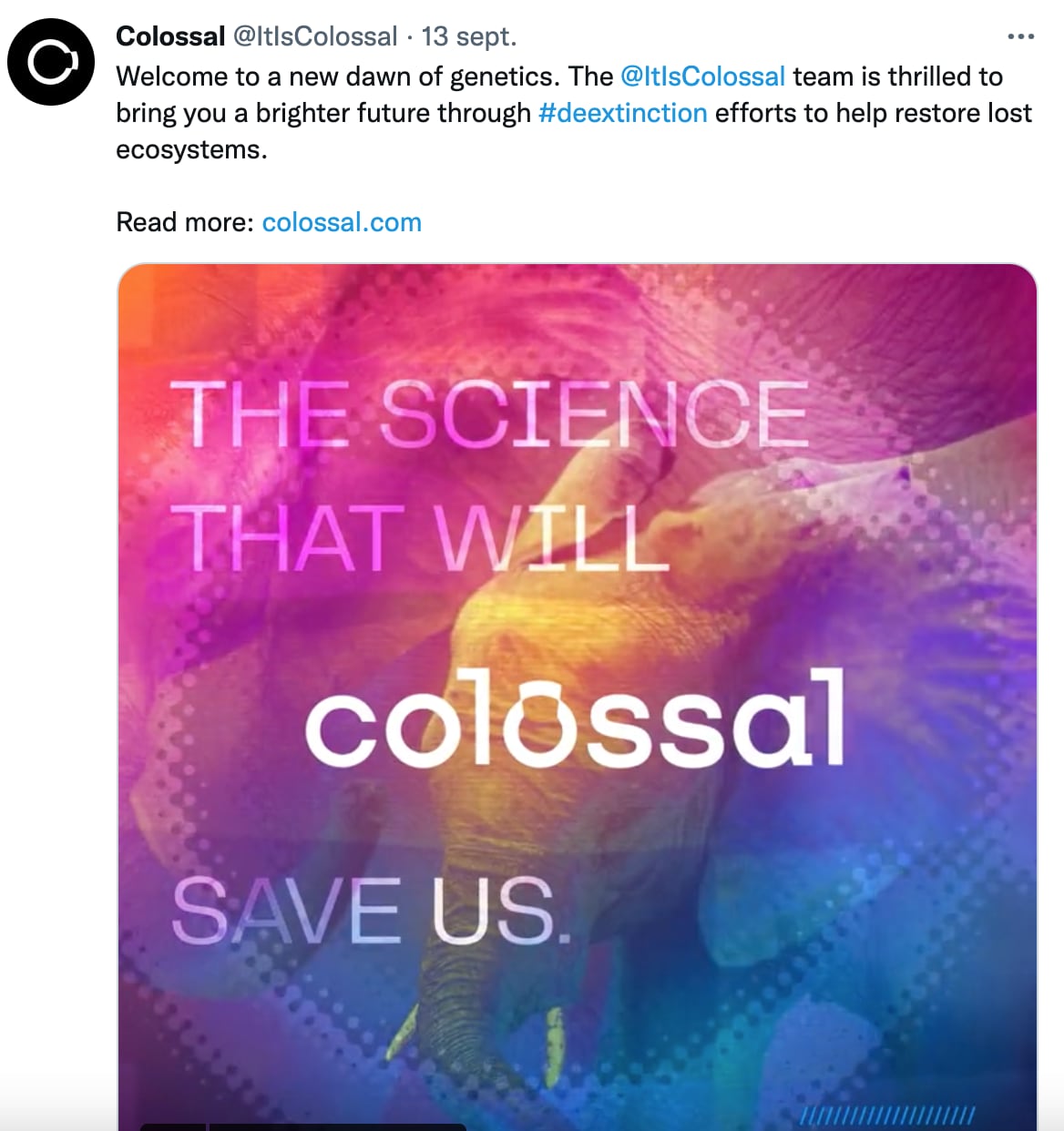 Empresa Colossal