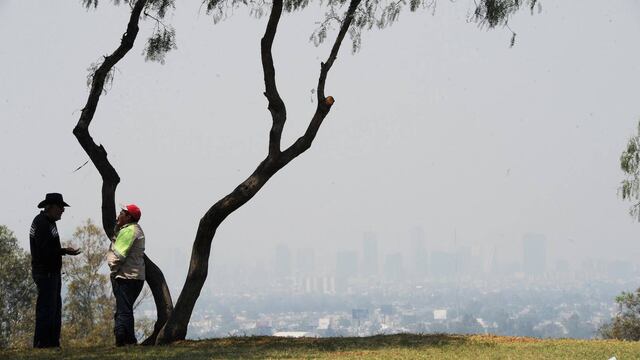 Contingencia ambiental