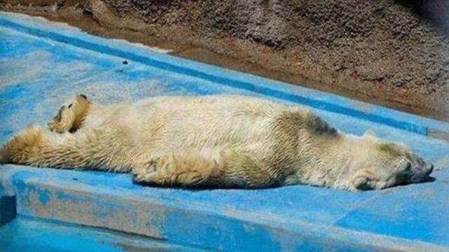 "Arturo"