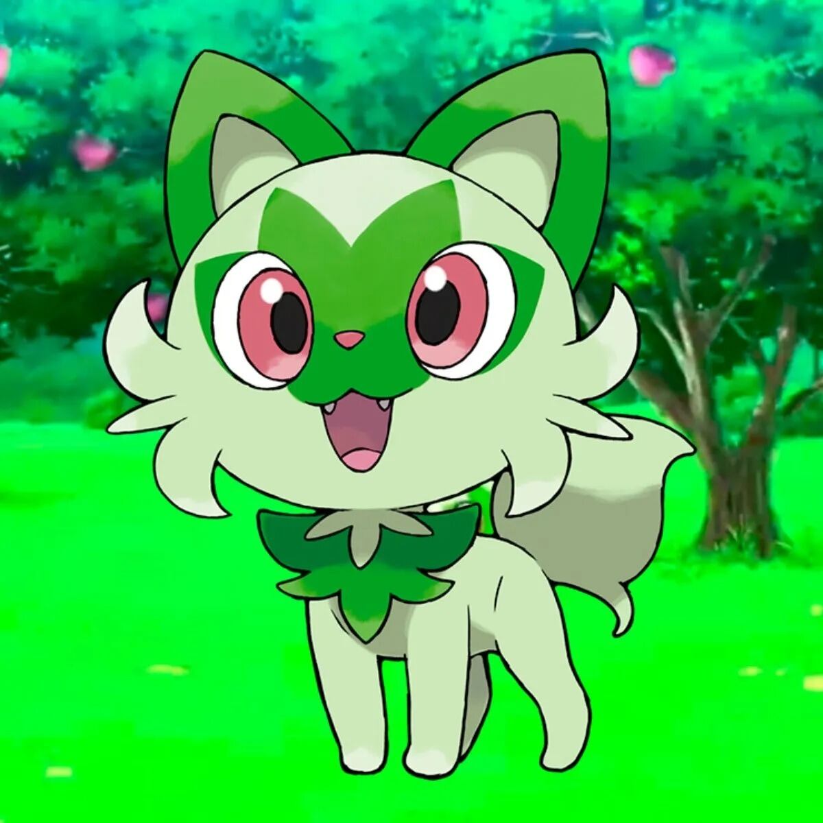 Sprigatito sería uno de los Pokémon regionales de México