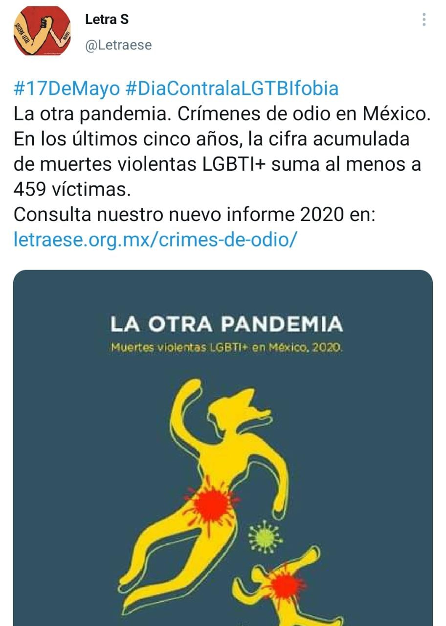 Informe de Letra S