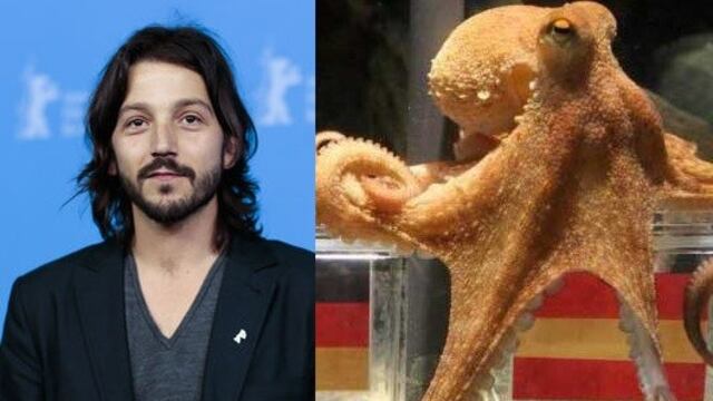 Diego Luna y Pulpo Paul