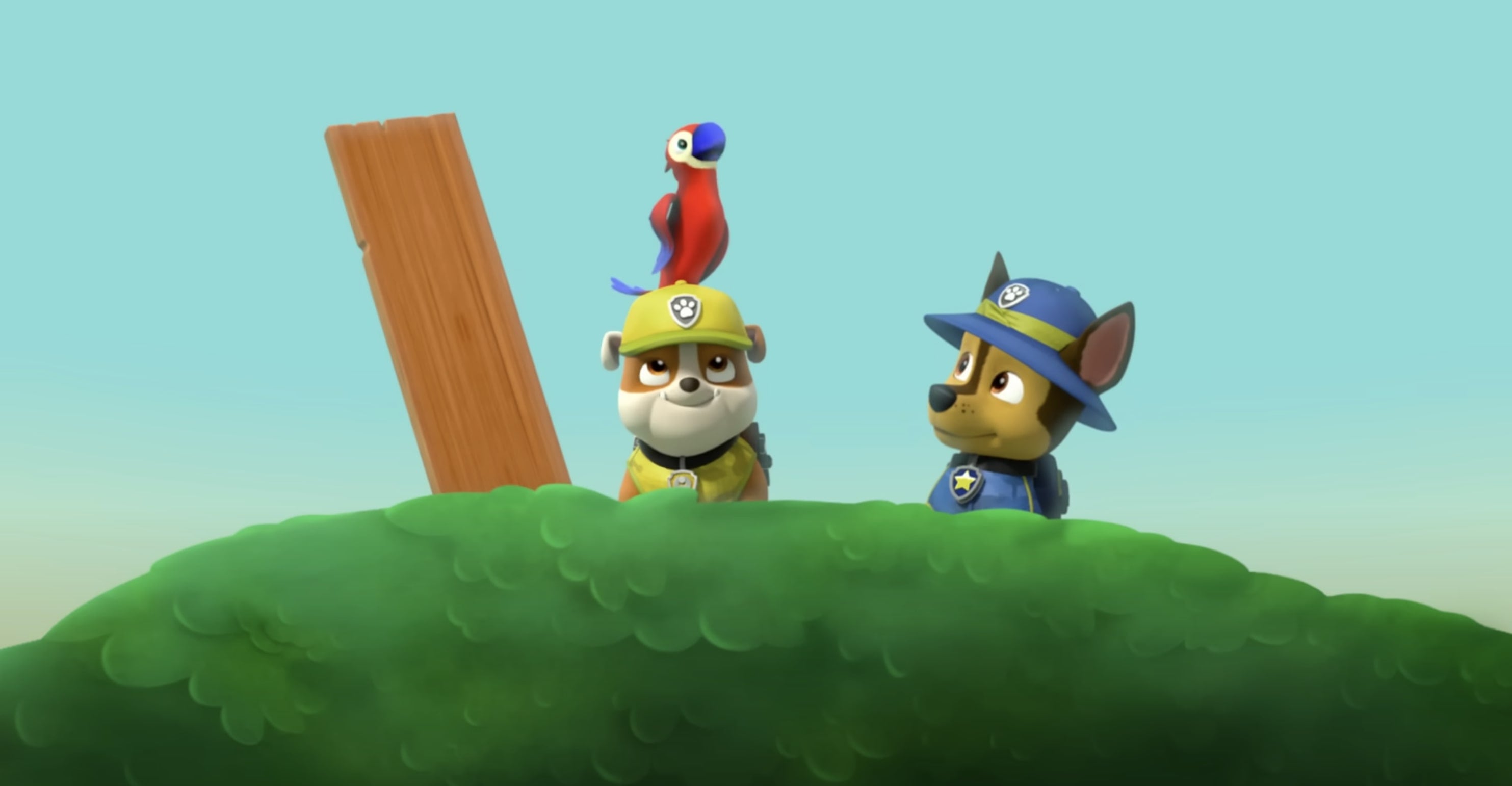 Rescates de Paw Patrol en la selva