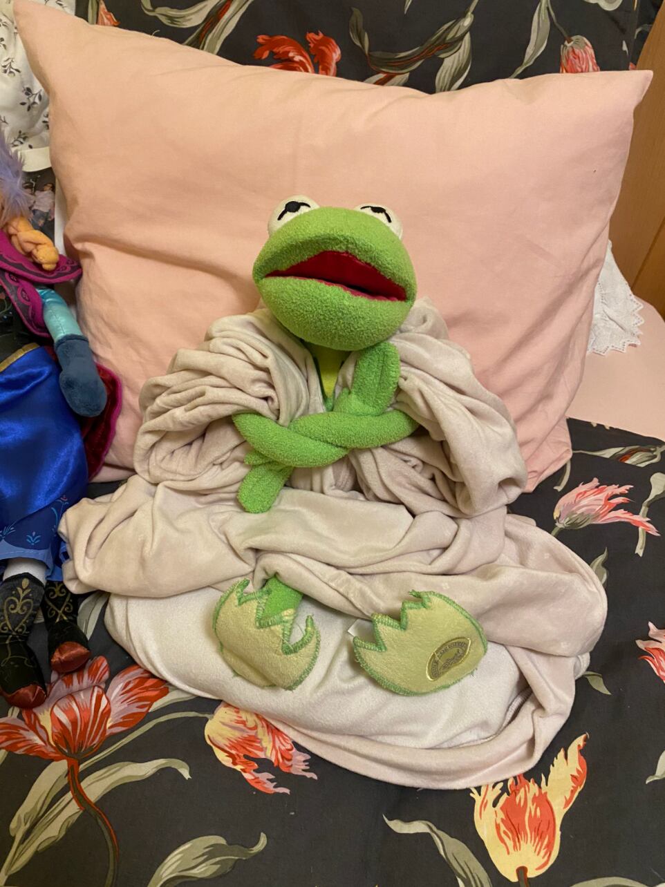 Peluches en escenarios