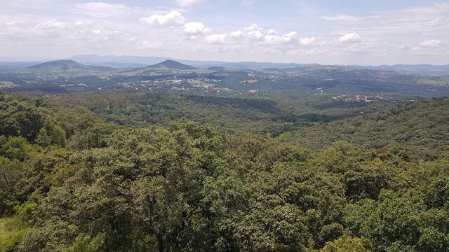 Puebla protege 859 hectáreas más en “Flor del Bosque”
