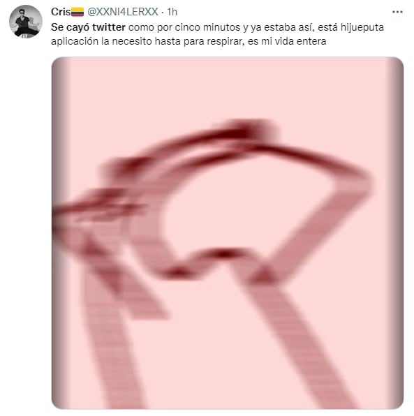 Reacción a la caída de Twitter