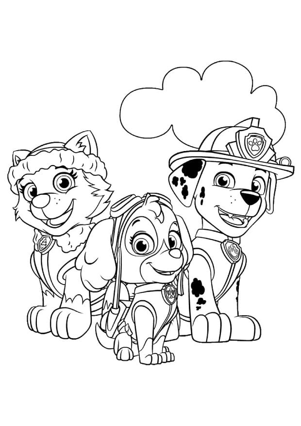 Dibujos de Skye y Everest de Paw Patrol