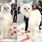 Jared Leto gato en la Met Gala 2023, conquistó la alfombra roja, pero llegó así por una razón