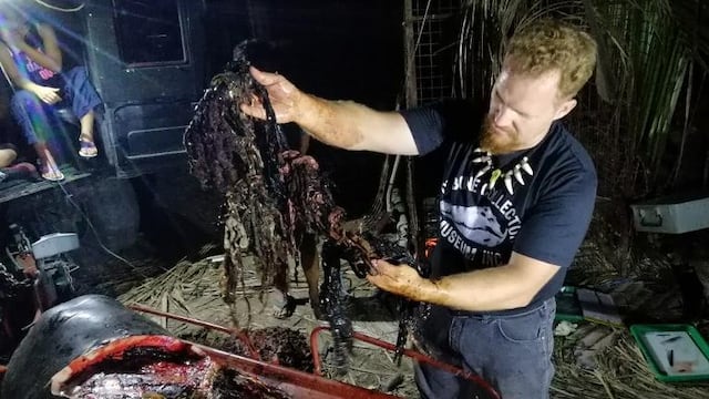 Ballena hallada con 40 kilos de desechos plásticos.