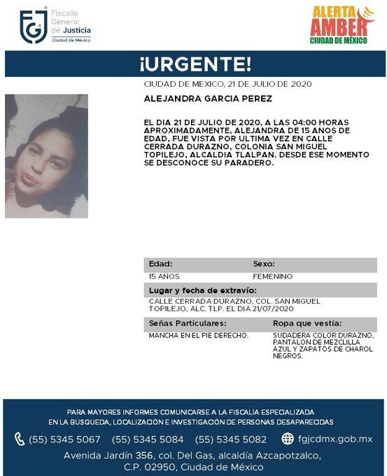 Ficha de búsqueda de Alejandra.