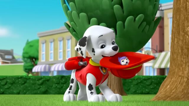 120 minutos de Paw Patrol y el rescate de animales bebés