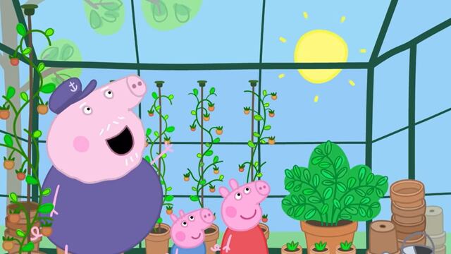 El invernadero de Abuelo Cerdito