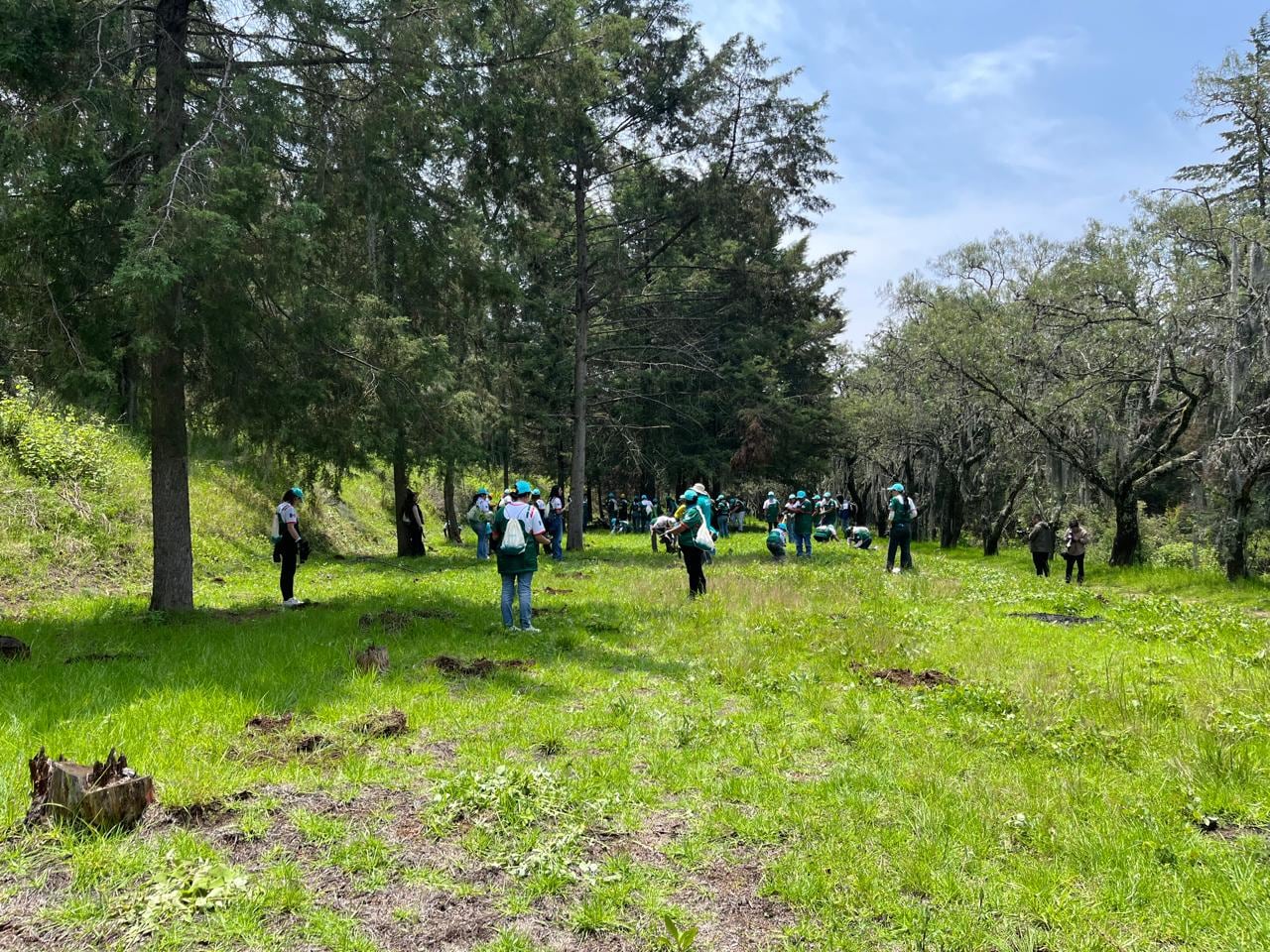 Así arrancó la reforestación 2026 en Santa Rita Tlahuapan