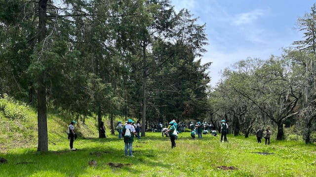 Así arrancó la reforestación 2026 en Santa Rita Tlahuapan