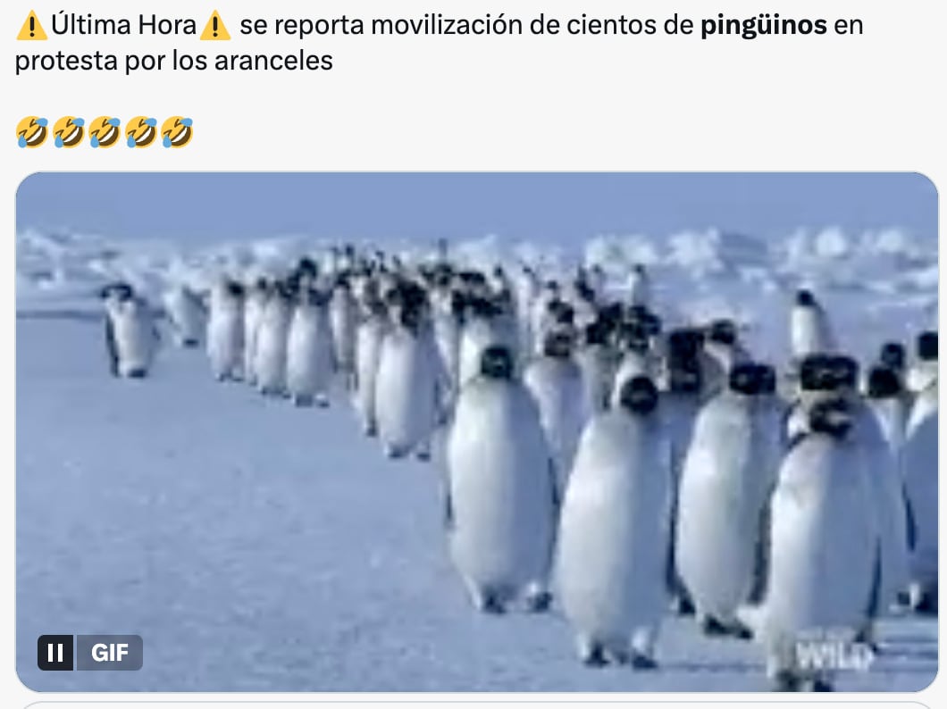 Los memes sobre los aranceles a pingüinos por Donald Trump