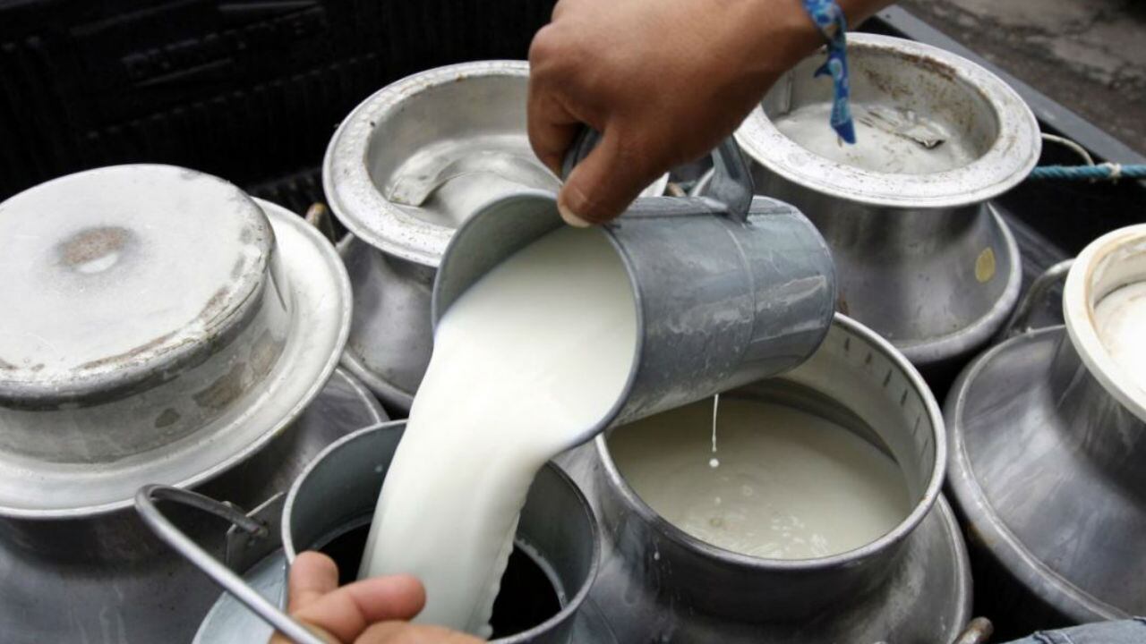 productores de leche