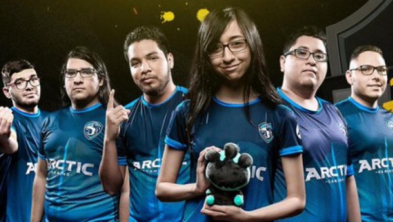 Arctic Gaming