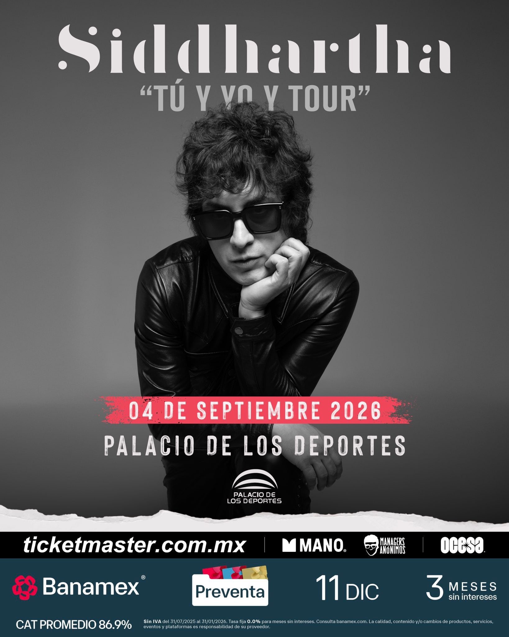 Concierto de Siddhartha en el Palacio de los Deportes