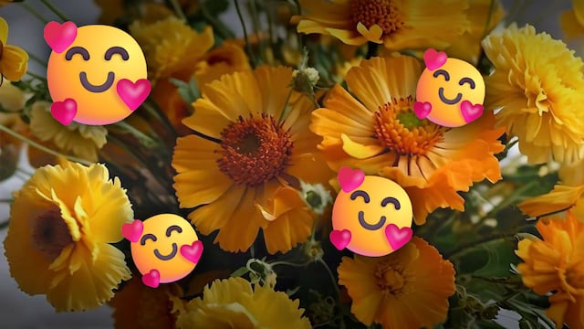 El verdadero significado de regalar flores amarillas a una mujer