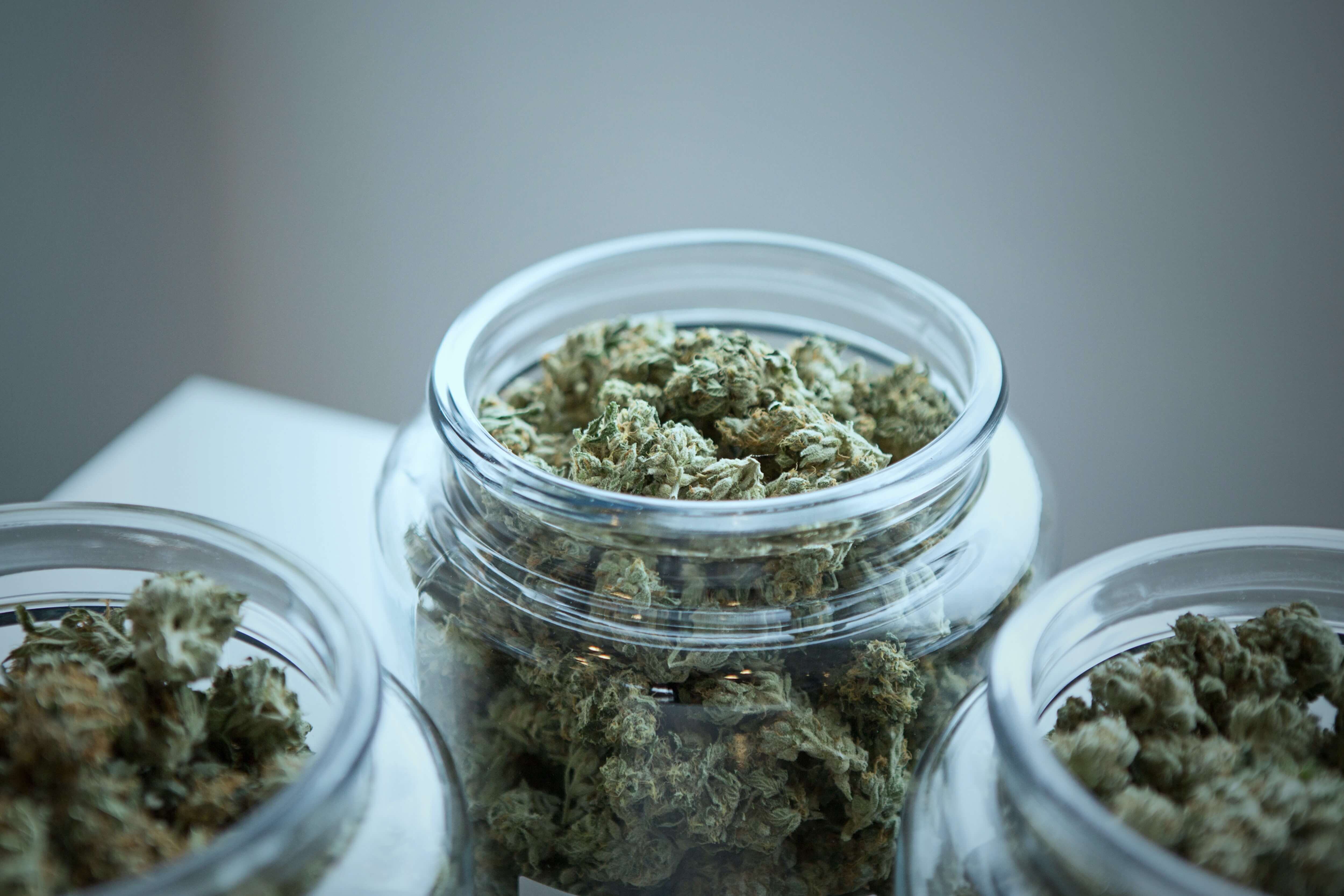 Cannabis.
