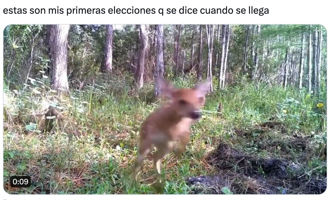 Los jóvenes cuentan su experiencia en sus primeras elecciones 2024