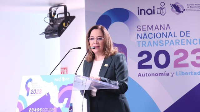 Blanca Lilia Ibarra Cadena, consejera presidenta del INAI
