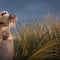 Scrat de ‘La Era de Hielo’ ya tiene su serie en Disney+