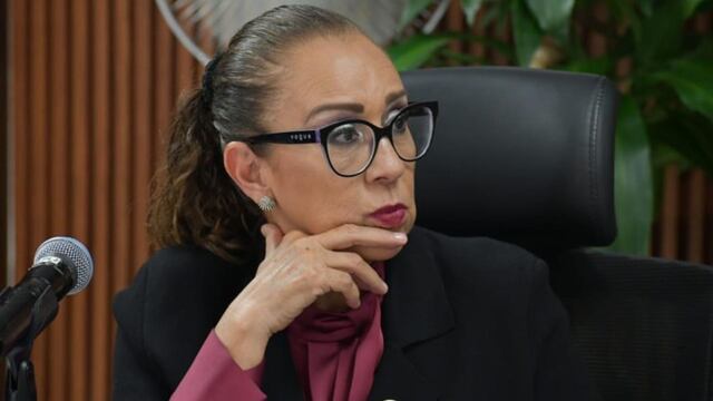 Elena Segura, diputada de México
