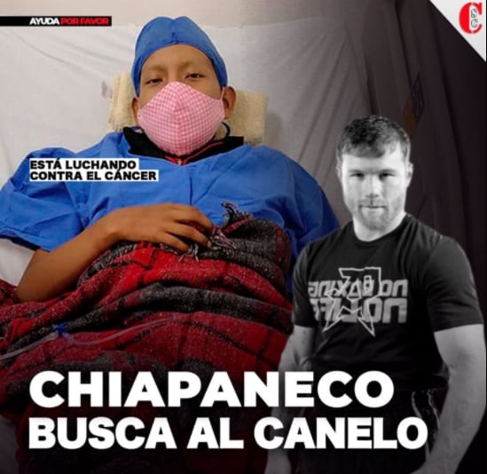 Fernando del Carmen García / Canelo Álvarez