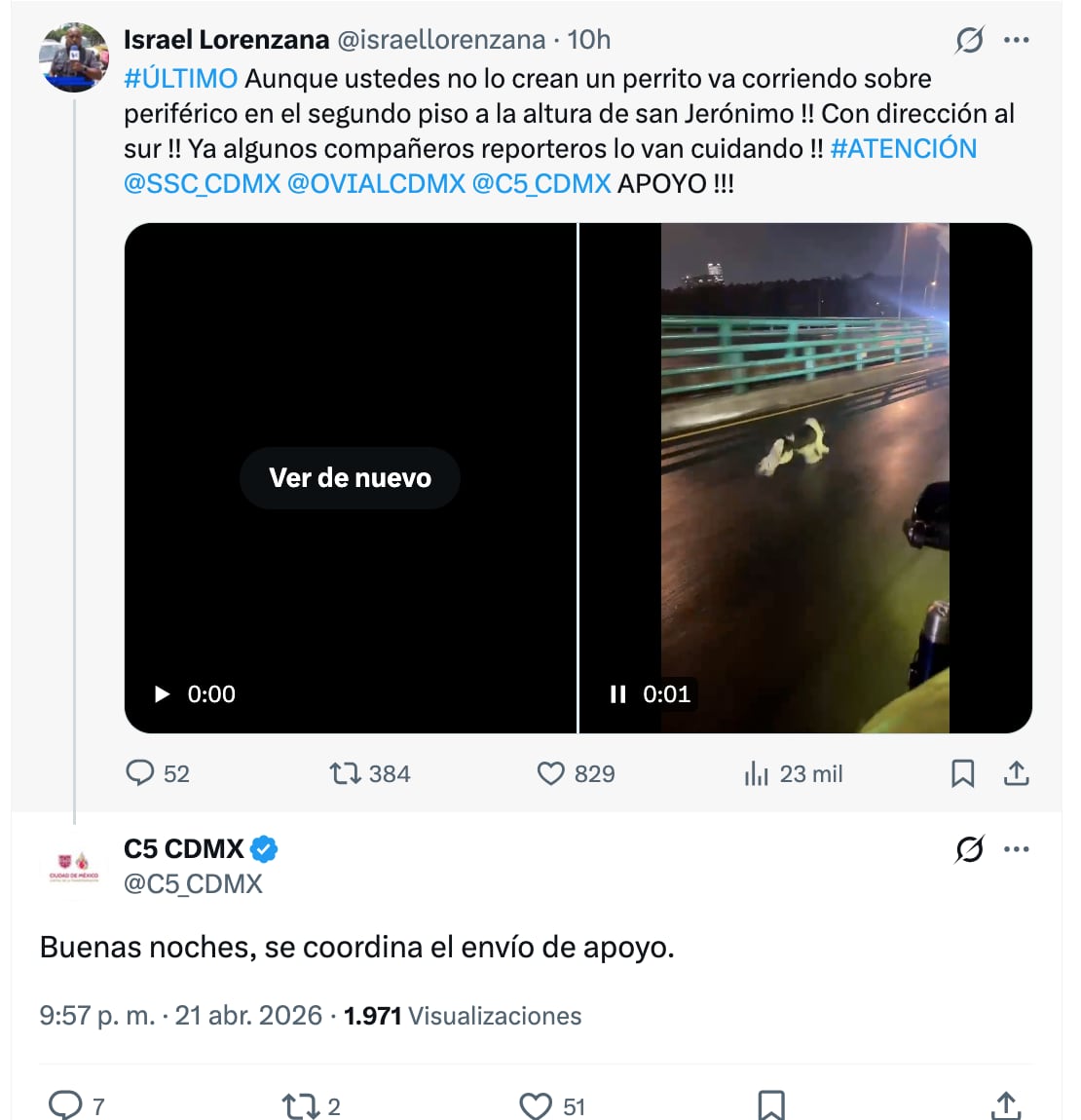 Captan a perro corriendo por el segundo piso del periférico