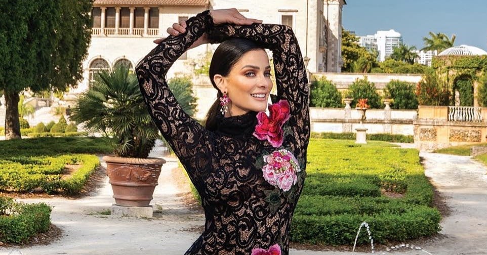 Dayanara Torres, Miss Universo Puerto Rico en 1993